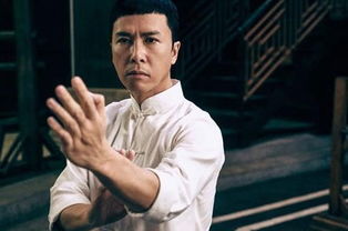 岳松和甄子丹誰(shuí)厲害