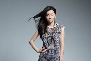 于文文男朋友是誰