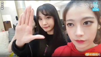 周潔瓊是什么團的