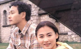 張柏芝和張國榮什么關系