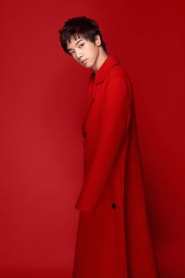 張小斐師傅是誰