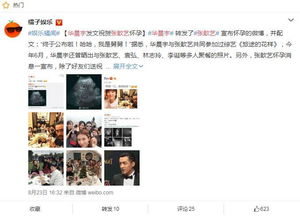 張歆藝華晨宇是什么關(guān)系