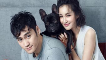 張歆藝和袁弘有孩子嗎