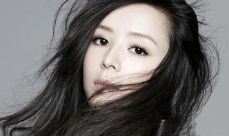 張靜初為什么不出來(lái)了