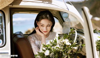 張馨予何捷愛情怎么認識的