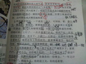 朱自清有哪些故事