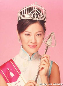 向海嵐是向華強什么人