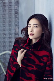 王麗坤為什么一直火不起來