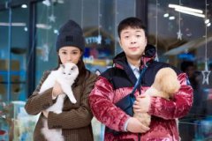 海濤和沈夢辰結婚了嗎