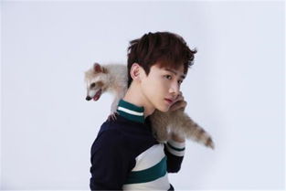 何炅為什么捧白敬亭