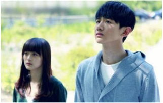 何炅為什么捧白敬亭