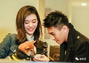 竇驍是富二代嗎