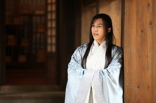 靳東在瑯琊榜中扮演誰