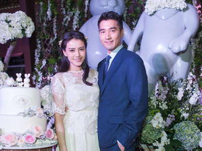 高圓圓趙又廷什么時候結婚的