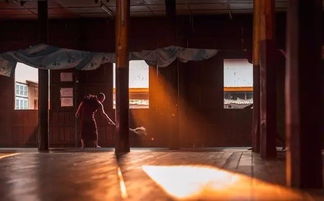 佛家三寶指什么