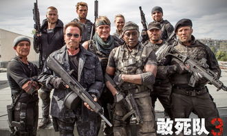 倪妮王大陸演的電影