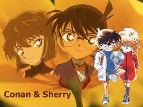 名偵探柯南大結局是什么