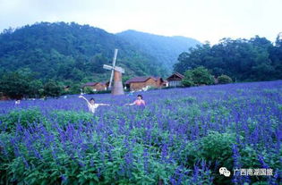 廣東省最大的瀑布群在哪里