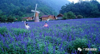 廣東省最大的瀑布群在哪里