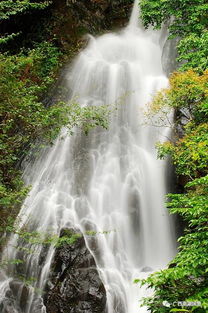 廣東省最大的瀑布群在哪里