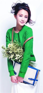 張歆藝和王志飛結過婚嗎