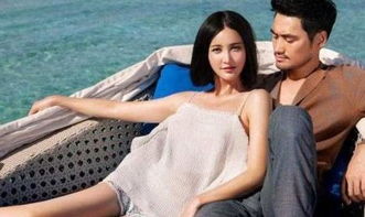 張歆藝和王志飛結過婚嗎