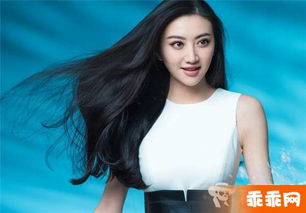 景甜怎么認識路征的