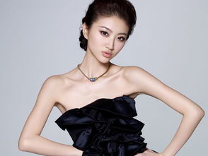 景甜怎么認識路征的