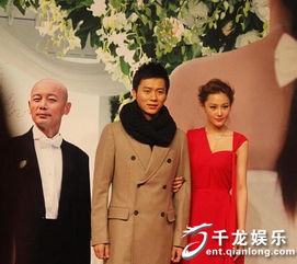 李晨石頭事件怎么回事