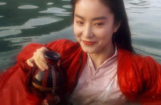 秦漢為什么不娶林青霞