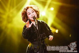 趙雷和袁婭維什么關(guān)系