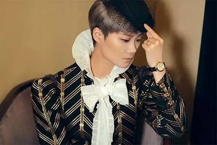 趙雷和袁婭維什么關(guān)系