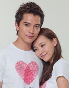 邱澤怎么傷害楊丞琳的