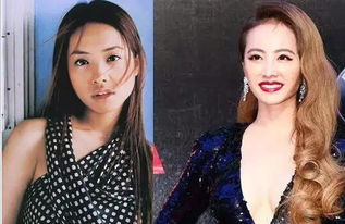 蔡依林為什么被黑