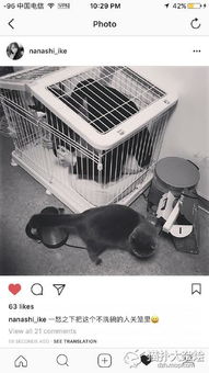 馮薪朵的家境如何 馮薪朵為什么叫二狗