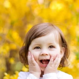 董卿有幾個寶寶