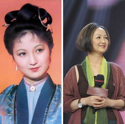 陳曉旭愛過歐陽奮強嗎