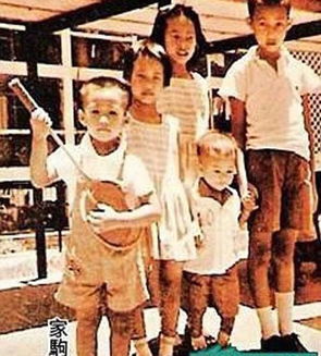 陳曉旭愛過歐陽奮強嗎