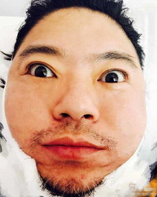 高曉松和吳彥祖你選誰