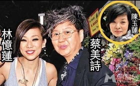 林憶蓮袁婭維什么關系