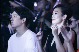 林憶蓮袁婭維什么關系