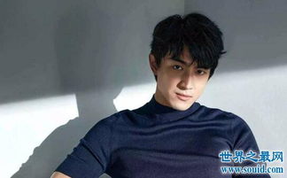 林更新爺爺是林連章嗎