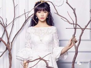 沈夢(mèng)辰為什么被黑