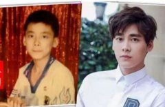 閆妮井柏然什么關系