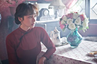 少帥柳巖出場是哪幾集