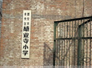 武則天比李治大幾歲呀