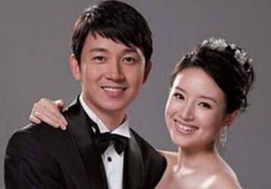 王大治和董潔是怎么回事