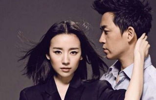 王大治和董潔是怎么回事