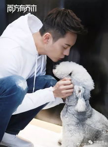 為什么說陳偉霆玩得開