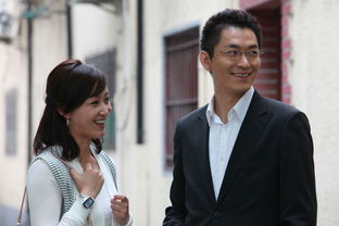 佟大為趙子琪演的電視劇